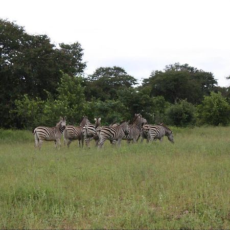 Nxabii Cottages Kasane Bagian luar foto