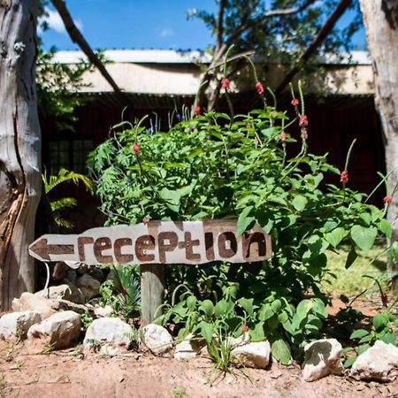 Nxabii Cottages Kasane Bagian luar foto