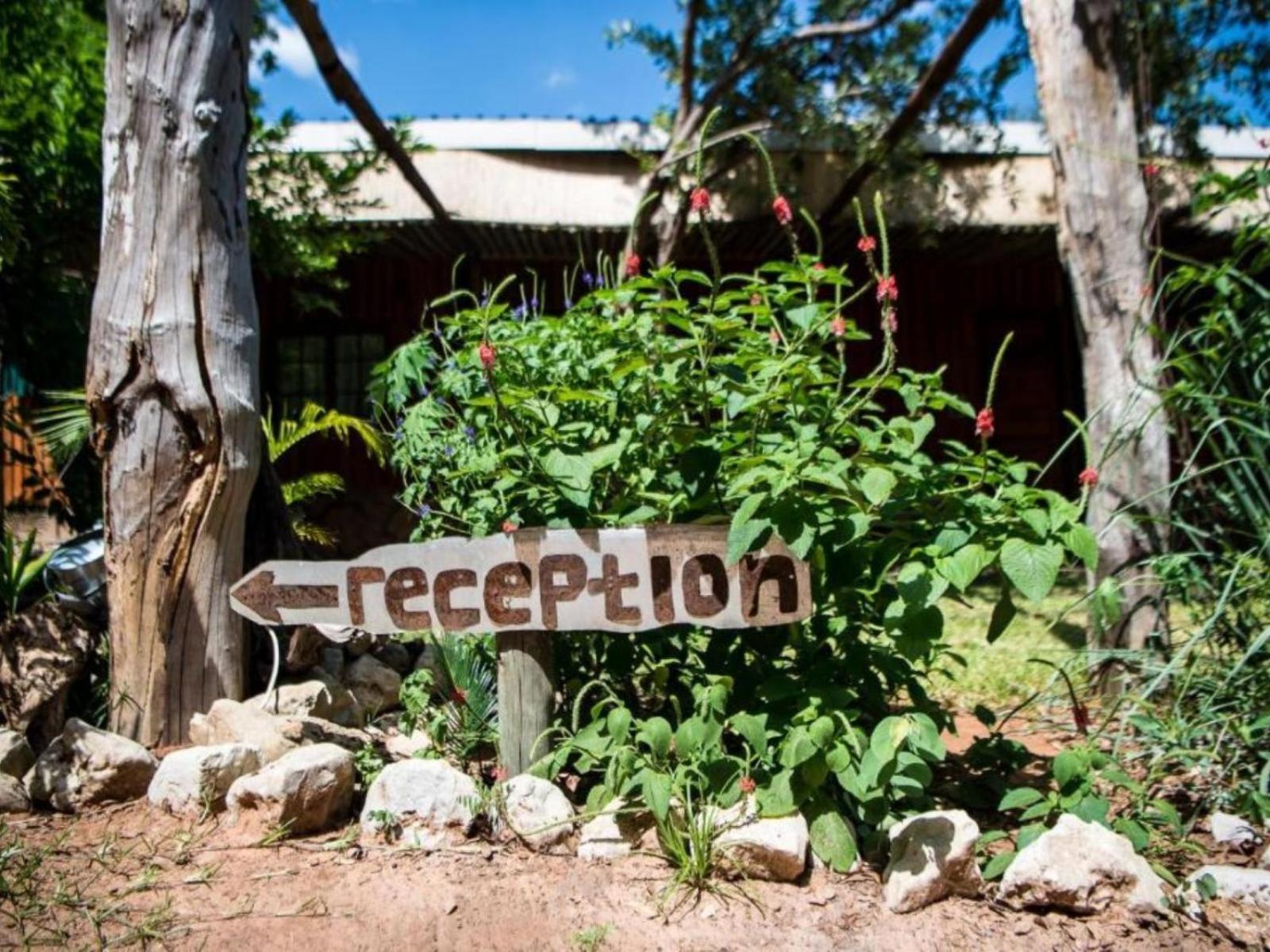 Nxabii Cottages Kasane Bagian luar foto